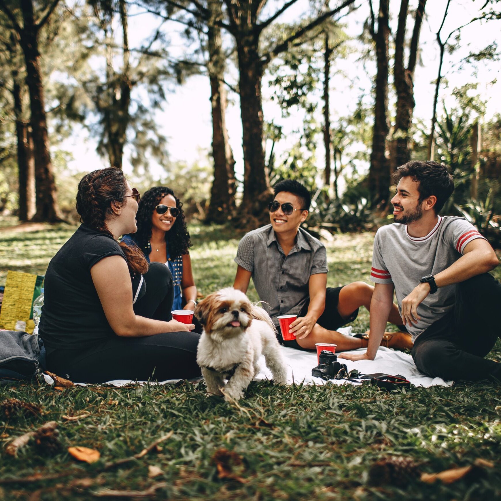 Four adults sitting on a blanket in the park, and having refreshments and talking and smiling together.