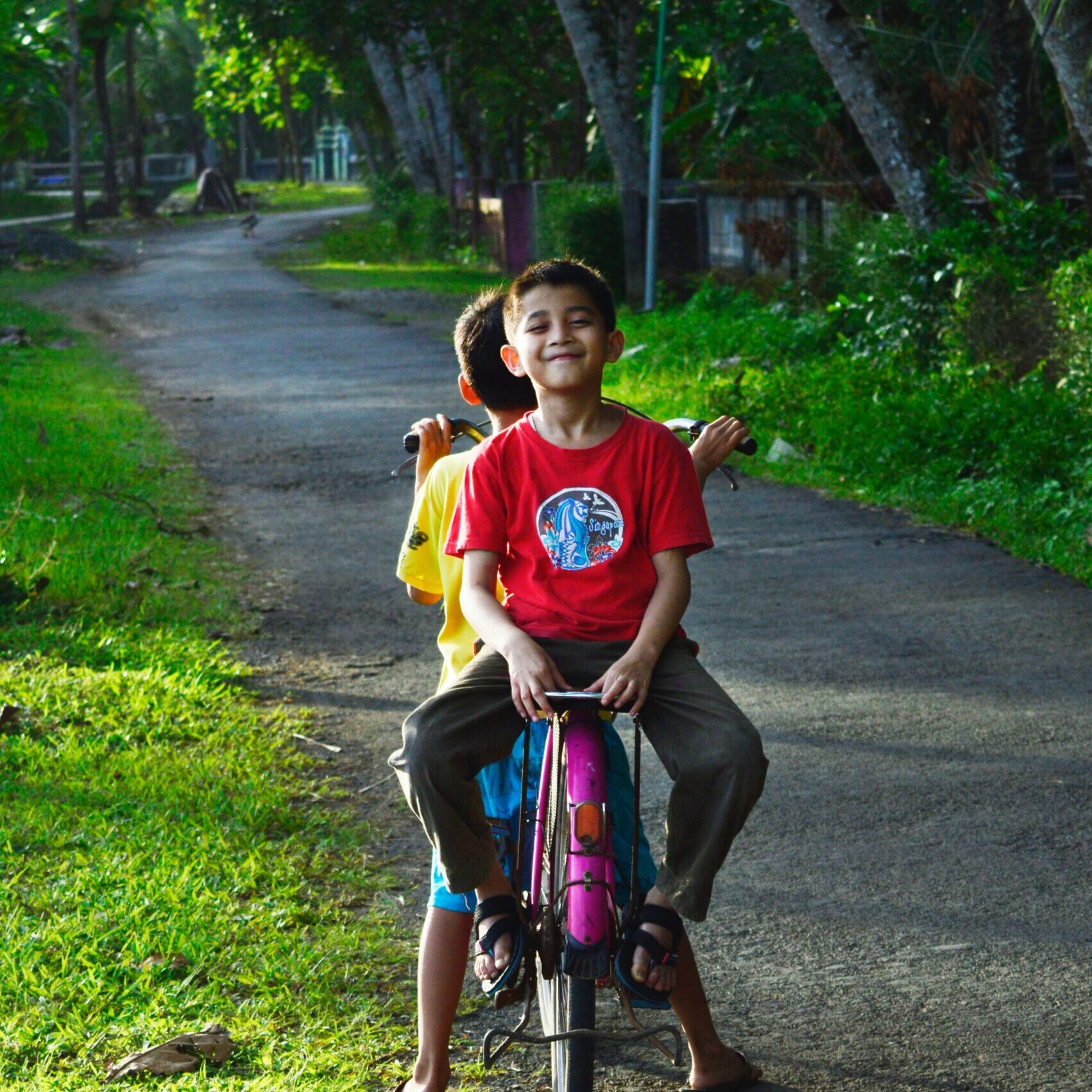 pexels-mas-tio-2307562